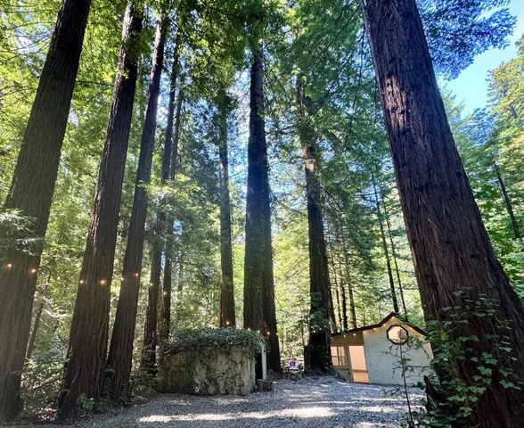 14251 Pescadero Creek Road 4, La Honda, CA 94020