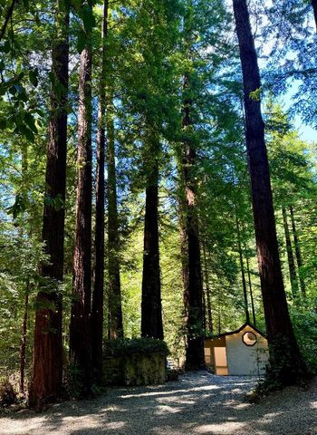 14251 Pescadero Creek Road 4, La Honda, CA 94020