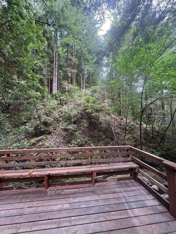 14251 Pescadero Creek Road 4, La Honda, CA 94020