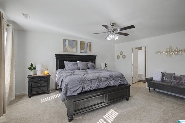 23117 DOWNING PARK CIRCLE, Mccalla, AL 35111