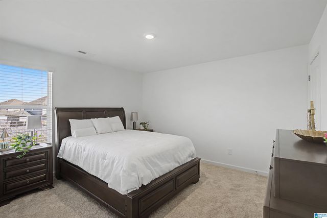 23117 DOWNING PARK CIRCLE, Mccalla, AL 35111