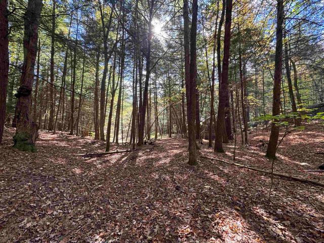 236 Hall Bridge Road, Rockingham, VT 05101