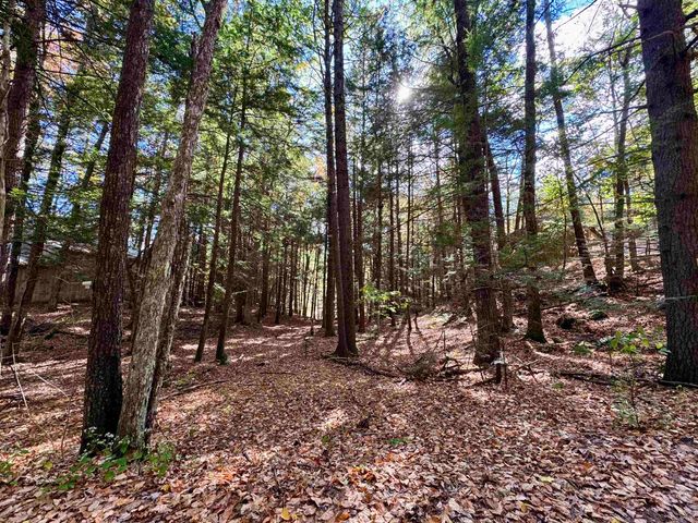 236 Hall Bridge Road, Rockingham, VT 05101