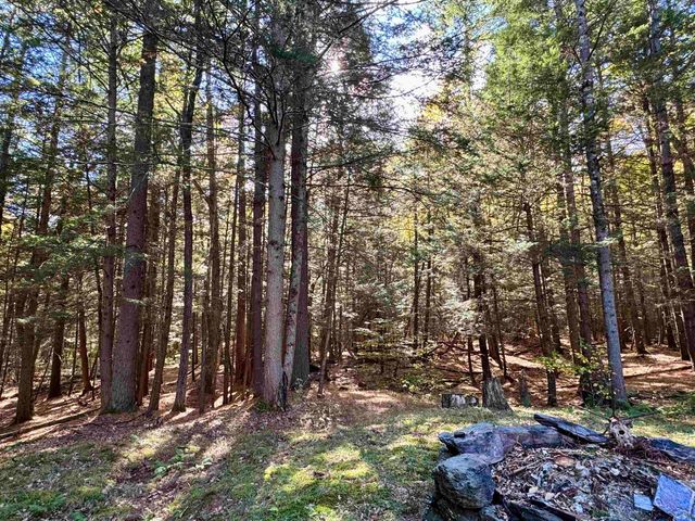 236 Hall Bridge Road, Rockingham, VT 05101