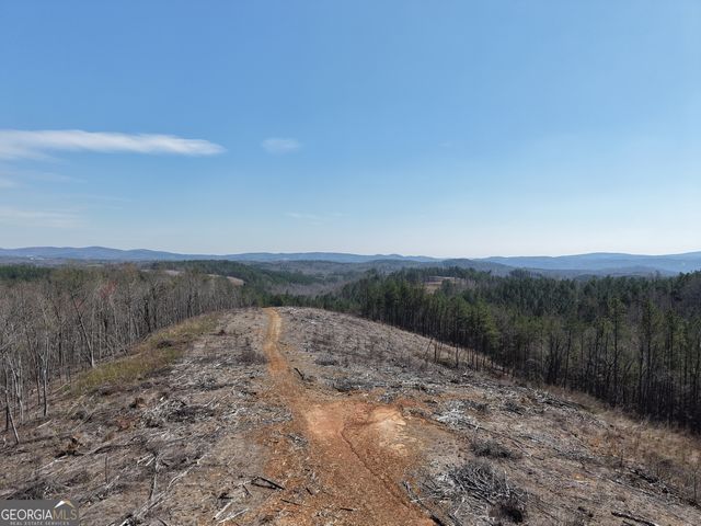 0 Angel Road 7206 PARCEL D, Fairmount, GA 30139