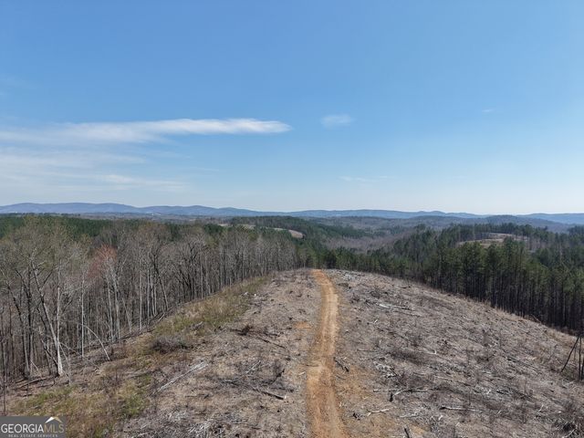 0 Angel Road 7206 PARCEL D, Fairmount, GA 30139