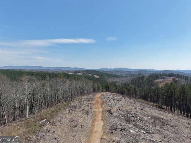 0 Angel Road 7206 PARCEL D, Fairmount, GA 30139