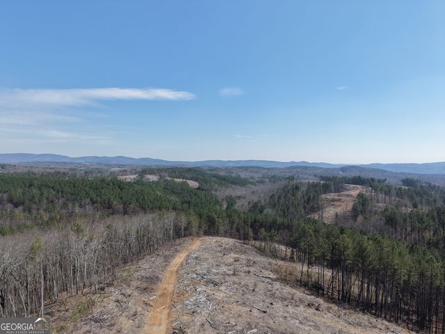 0 Angel Road 7206 PARCEL D, Fairmount, GA 30139