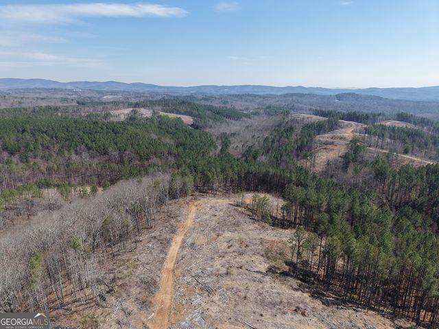 0 Angel Road 7206 PARCEL D, Fairmount, GA 30139