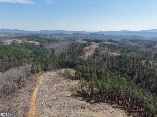 0 Angel Road 7206 PARCEL D, Fairmount, GA 30139