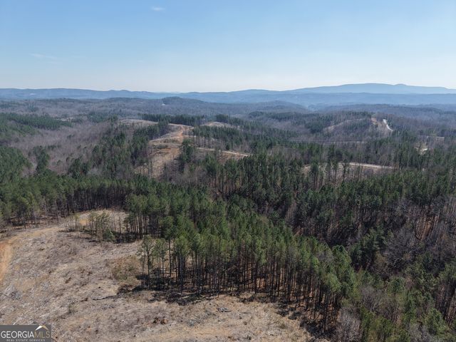 0 Angel Road 7206 PARCEL D, Fairmount, GA 30139