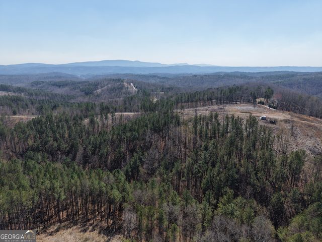 0 Angel Road 7206 PARCEL D, Fairmount, GA 30139