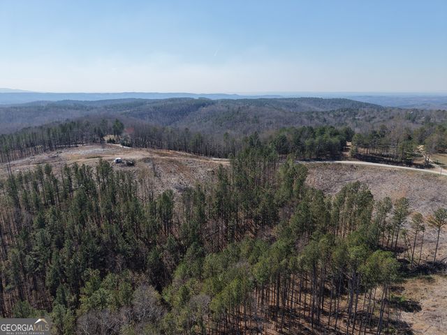 0 Angel Road 7206 PARCEL D, Fairmount, GA 30139