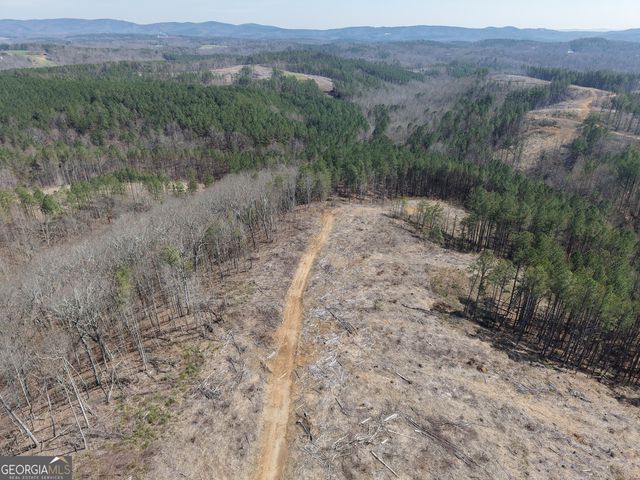 0 Angel Road 7206 PARCEL D, Fairmount, GA 30139