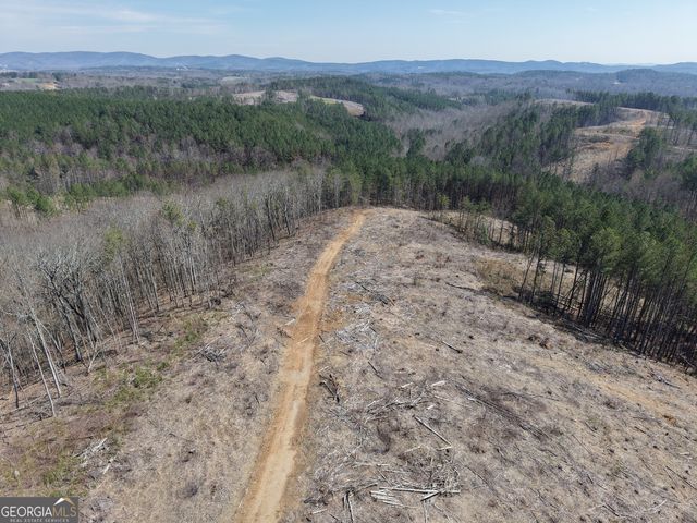 0 Angel Road 7206 PARCEL D, Fairmount, GA 30139