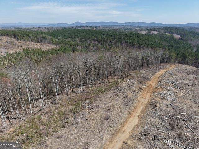 0 Angel Road 7206 PARCEL D, Fairmount, GA 30139