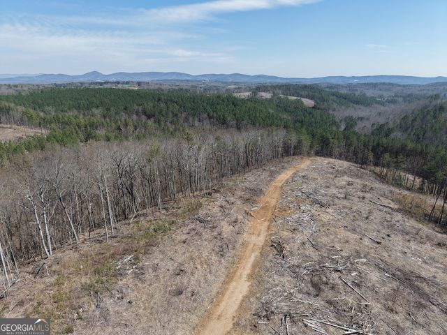 0 Angel Road 7206 PARCEL D, Fairmount, GA 30139