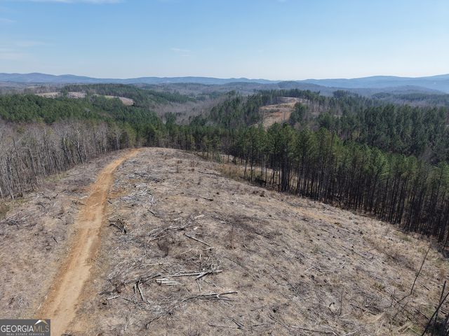 0 Angel Road 7206 PARCEL D, Fairmount, GA 30139