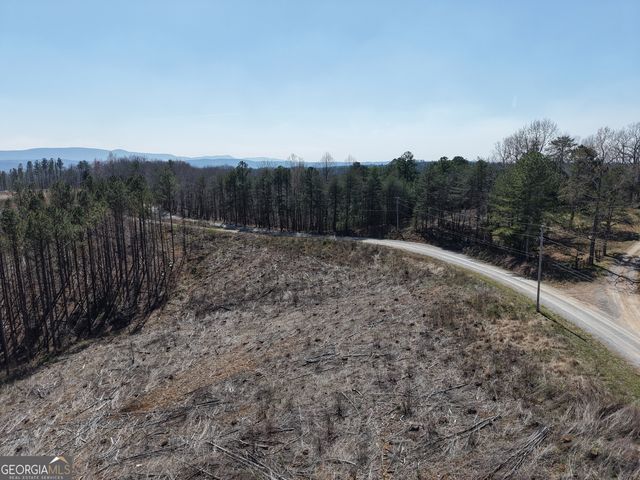 0 Angel Road 7206 PARCEL D, Fairmount, GA 30139