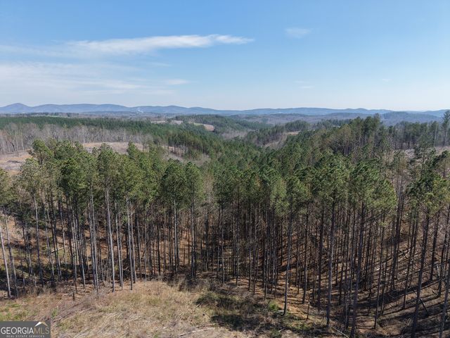 0 Angel Road 7206 PARCEL D, Fairmount, GA 30139