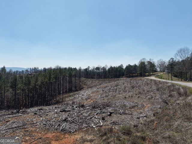 0 Angel Road 7206 PARCEL D, Fairmount, GA 30139