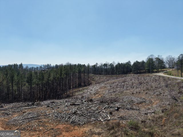 0 Angel Road 7206 PARCEL D, Fairmount, GA 30139