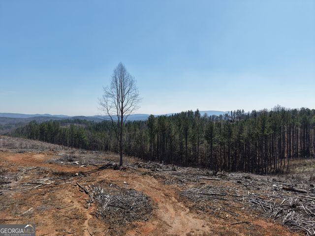 0 Angel Road 7206 PARCEL D, Fairmount, GA 30139