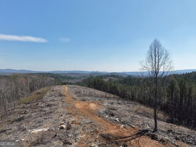 0 Angel Road 7206 PARCEL D, Fairmount, GA 30139