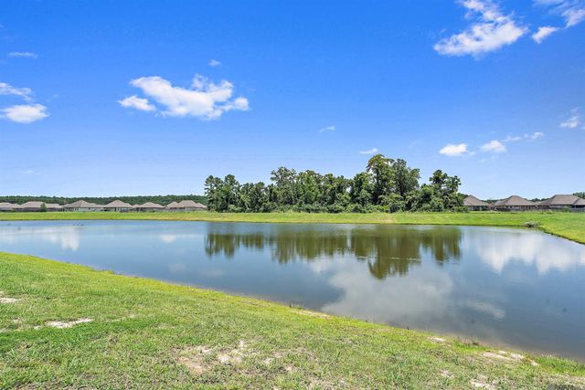26057 Purdy Ave, Denham Springs, LA 70726