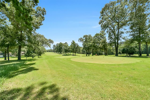 35 Blush Hill Drive, Conroe, TX 77304