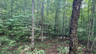 0 Moonlight Bay Drive, Sparta, TN 38583