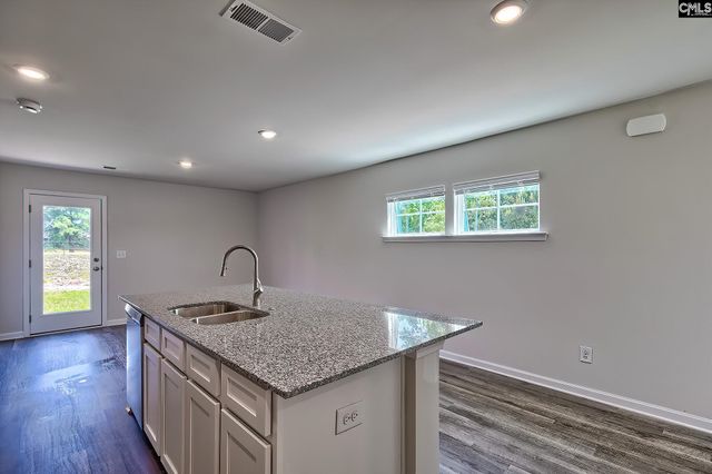 207 Calm Citadel Drive, Pelion, SC 29123