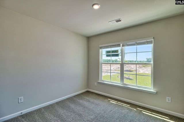 207 Calm Citadel Drive, Pelion, SC 29123