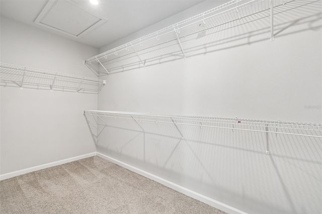 4286 CLOUD HOPPER WAY, Lutz, FL 33559
