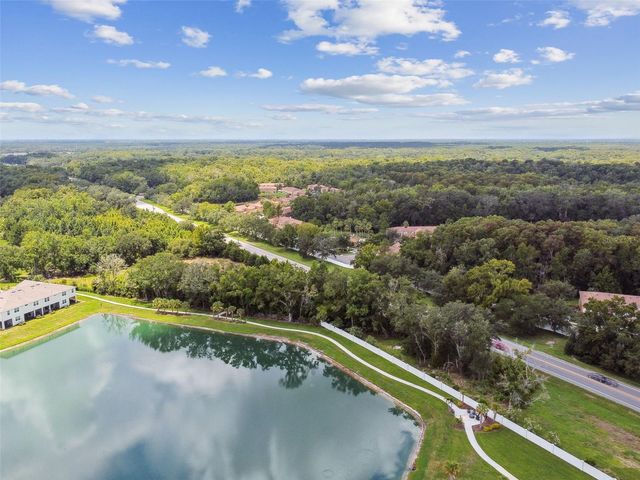 4286 CLOUD HOPPER WAY, Lutz, FL 33559