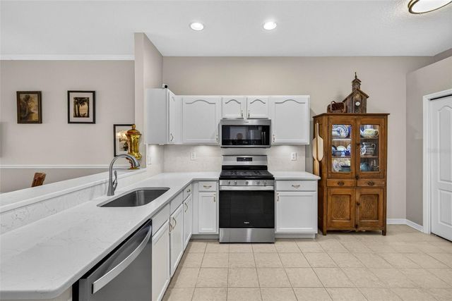 19355 HASKELL PLACE, Land O Lakes, FL 34638
