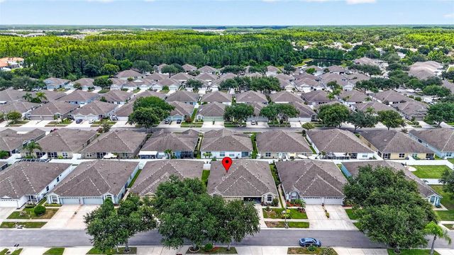 19355 HASKELL PLACE, Land O Lakes, FL 34638
