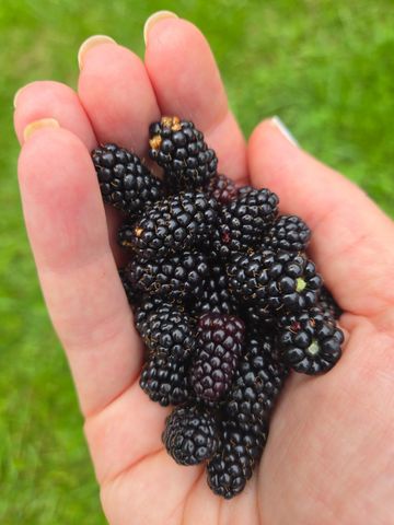 383 Jones Road, Highgate, VT 05457