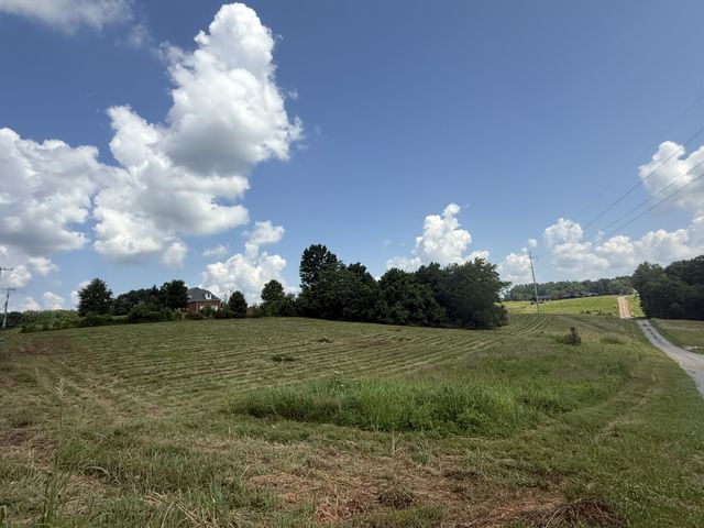 4015 Trough Springs Rd, Adams, TN 37010