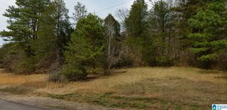 300 HERITAGE VALLEY DRIVE, Springville, AL 35146