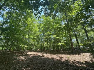 0 Silverbush, Bedford, VA 24523