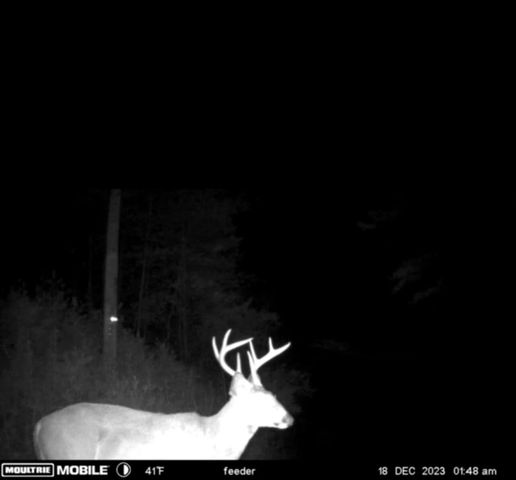 228 Lofty Heights Road, Clay City, KY 40312