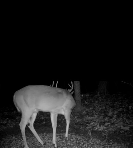 228 Lofty Heights Road, Clay City, KY 40312