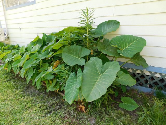 247 Warbler Lane, Livingston, TX 77351