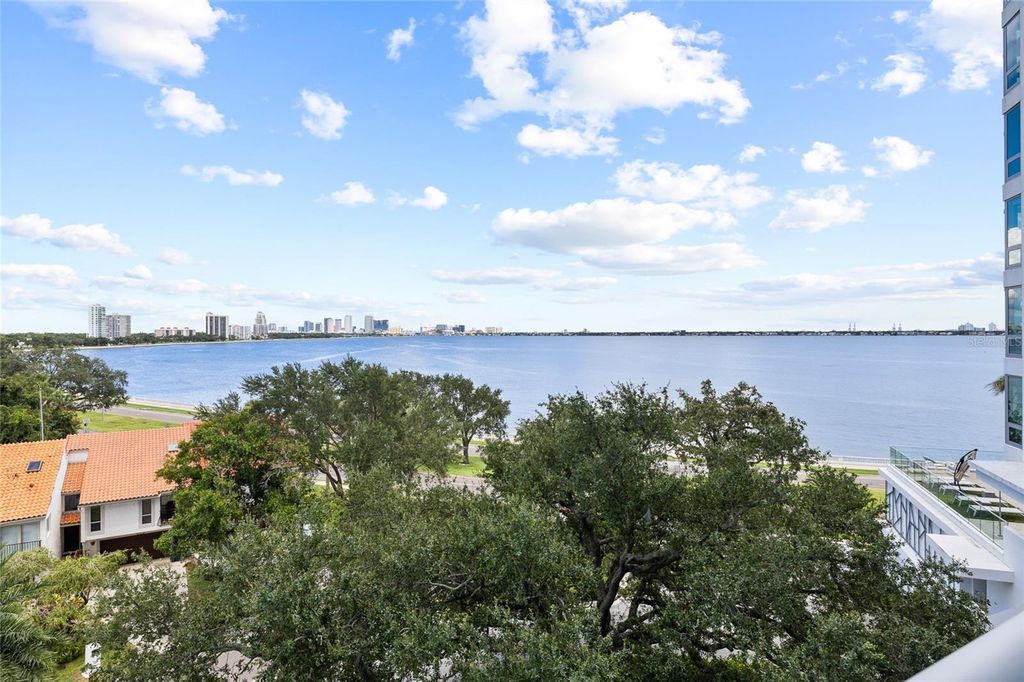Image 39 of property listing at 3401 BAYSHORE BOULEVARD 503, Tampa, FL 33629