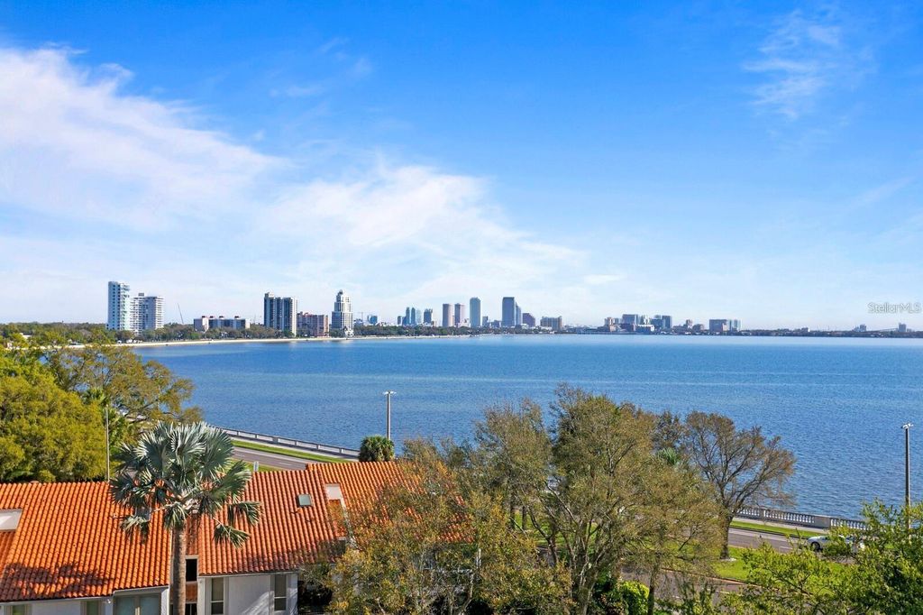 Image 62 of property listing at 3401 BAYSHORE BOULEVARD 503, Tampa, FL 33629