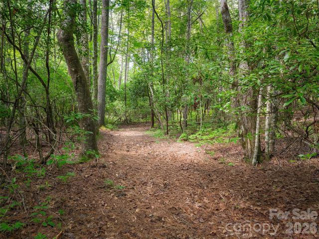 Lot 161 Eagle Lake Drive, Brevard, NC 28712