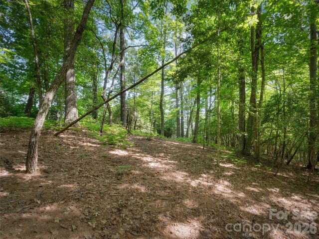 Lot 161 Eagle Lake Drive, Brevard, NC 28712