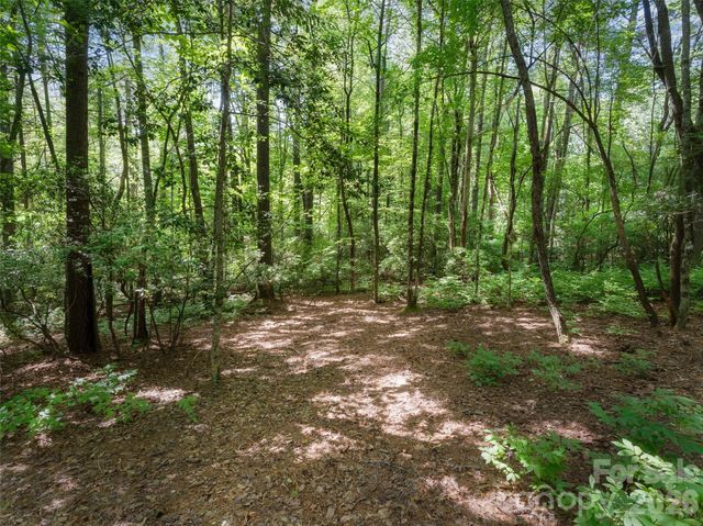 Lot 161 Eagle Lake Drive, Brevard, NC 28712