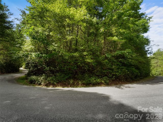 Lot 161 Eagle Lake Drive, Brevard, NC 28712